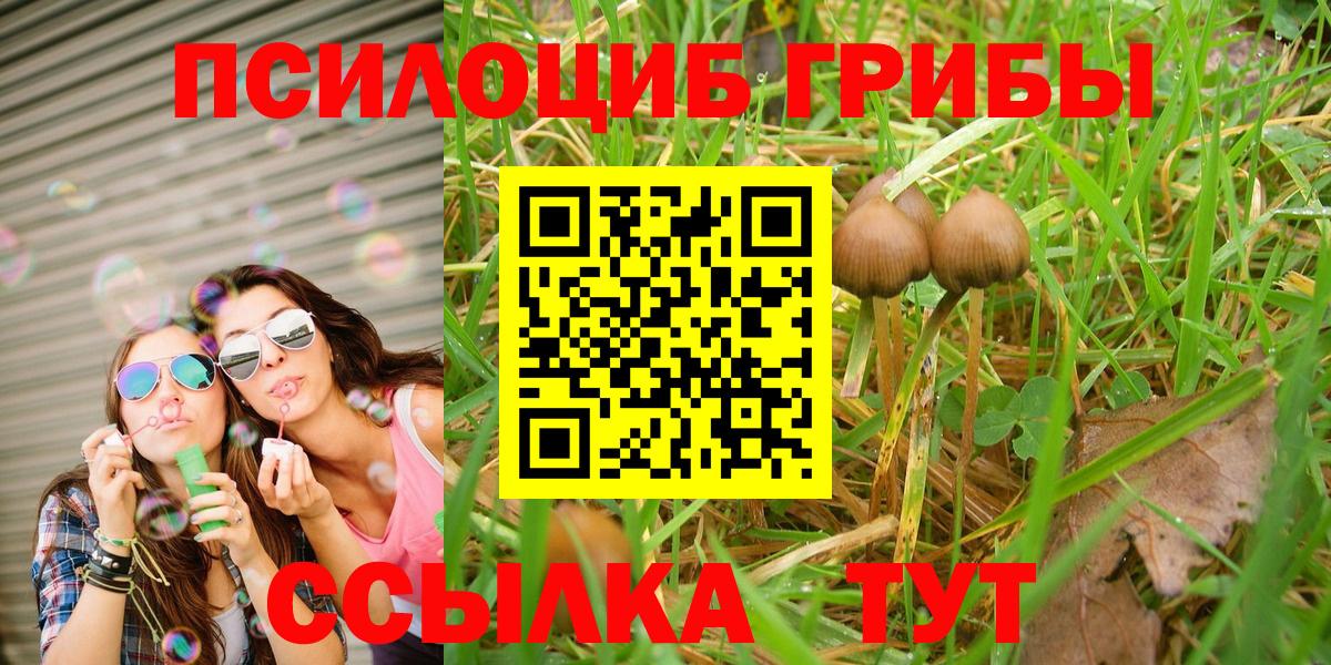 Галлюциногенные грибы GOLDEN TEACHER  Вход с VPN  Красный Сулин 