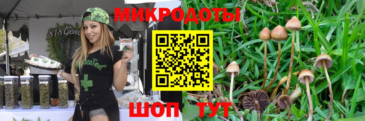 Псилоцибиновые грибы Psilocybe Красный Сулин